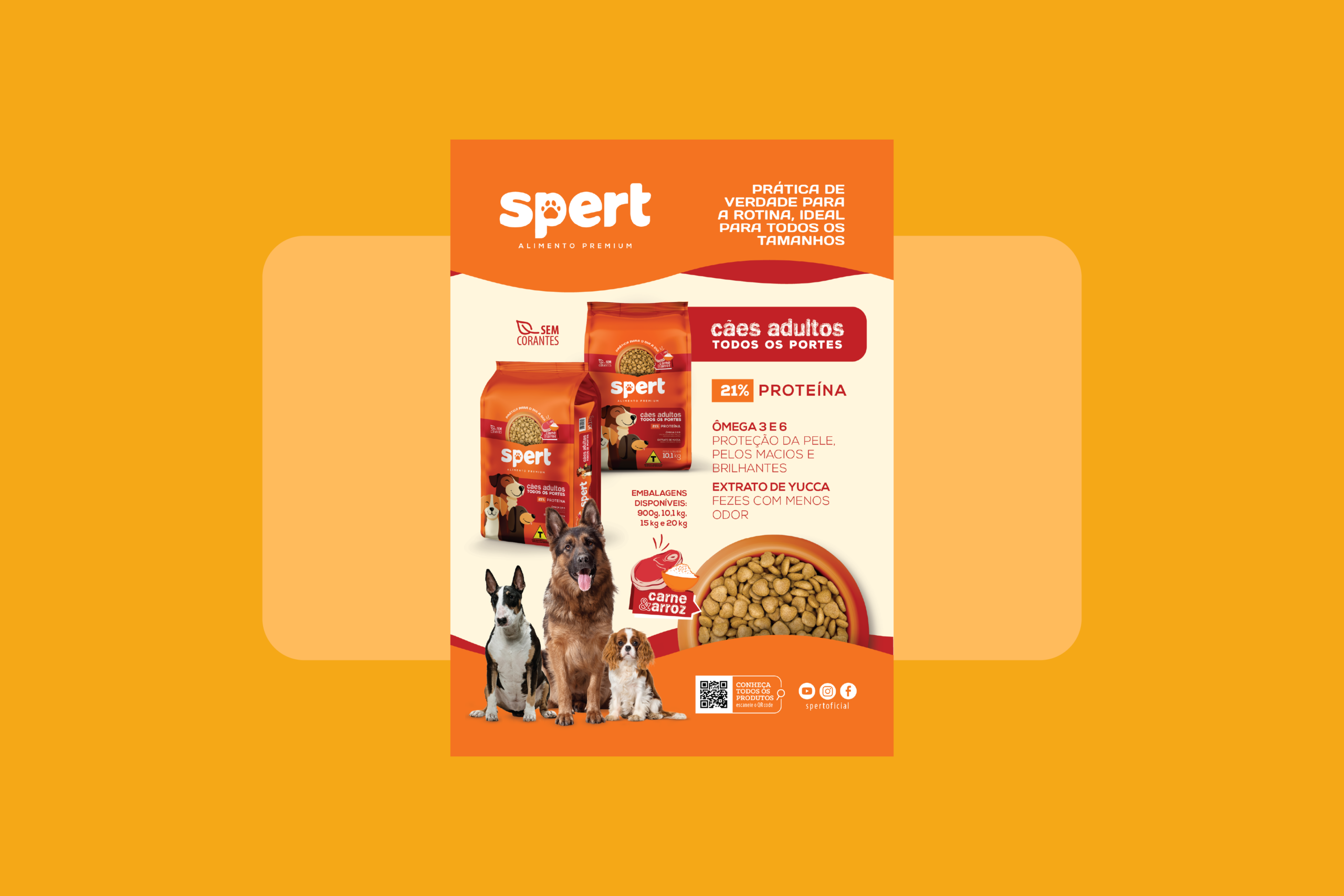 material pdv FLYER PREMIUM TODOS PORTES